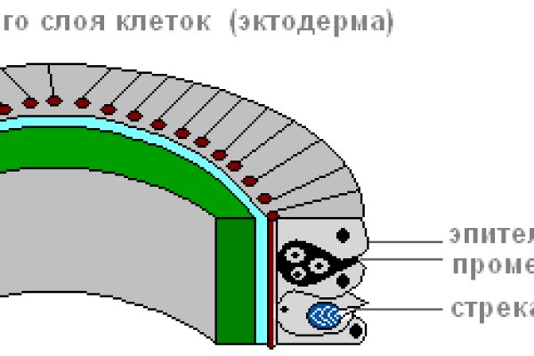 Действующие ссылки на кракен