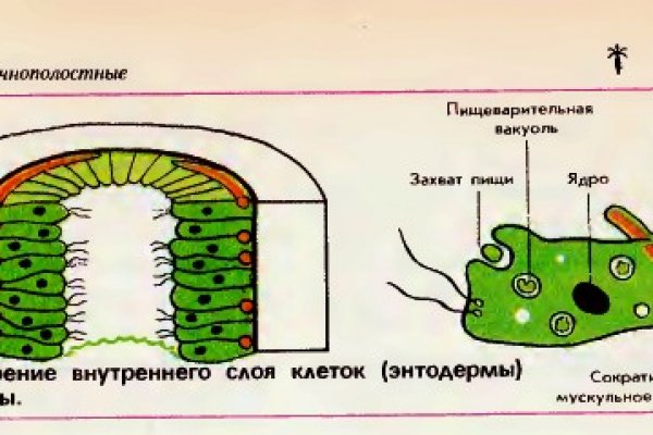 Кракен сайт покупок